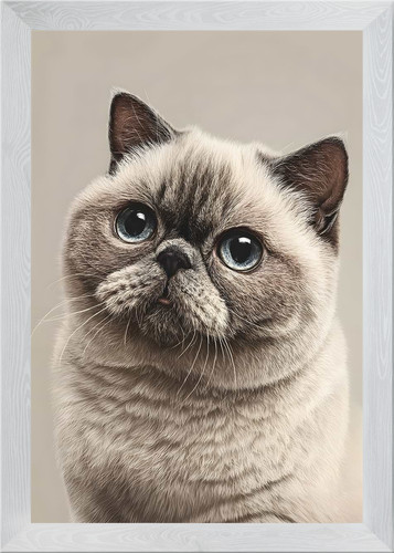 Ritratto gatto britannico - di,
