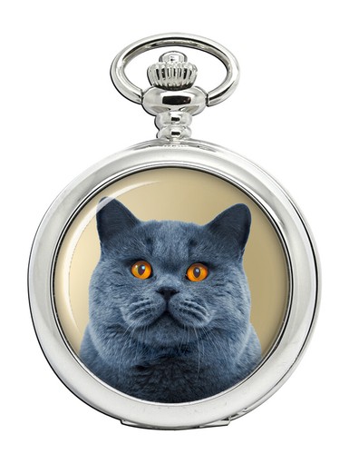 Orologio tasca gatto - orologio, da