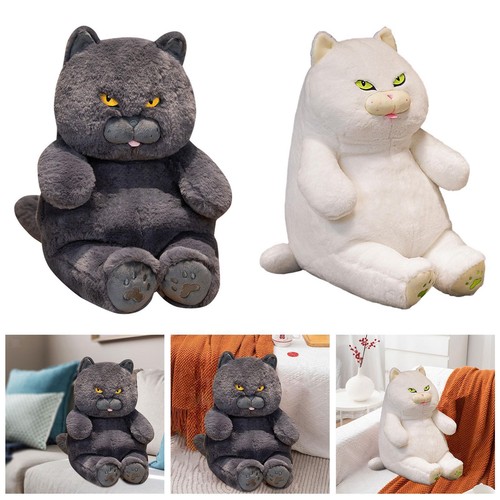 Gatti peluche british - gatti,