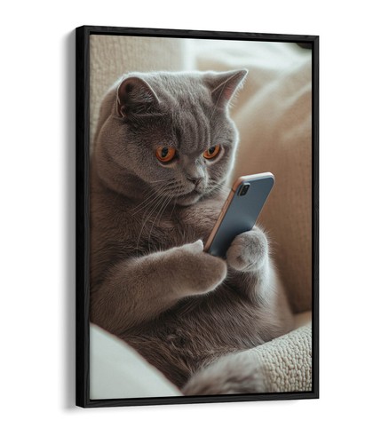 Gatto grigio britannico pelo - gatto,