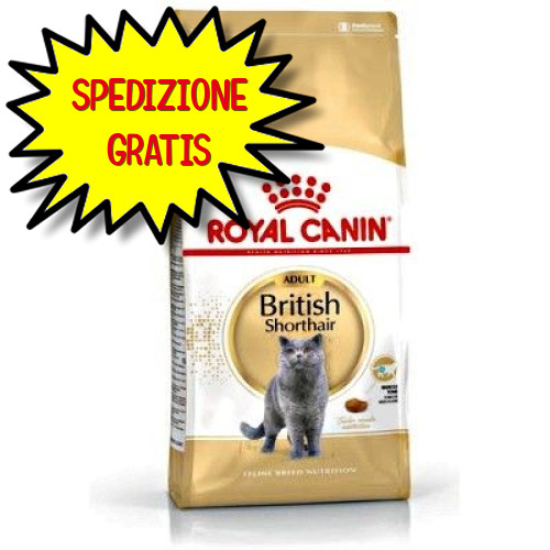 Royal canin gatto - gatto, adulto