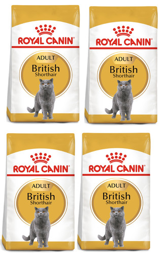 Royal canin british shorthair - british,