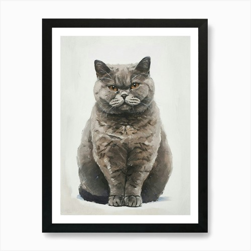 Quadro gatto pelo corto