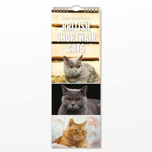 Calendario parete slim - calendario,