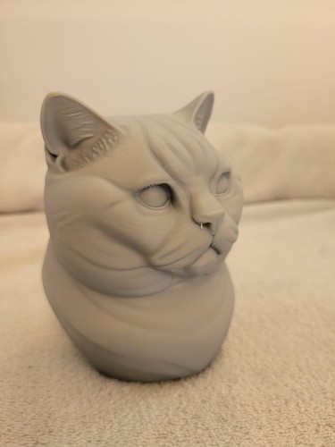Busto gatto britannico a - busto,