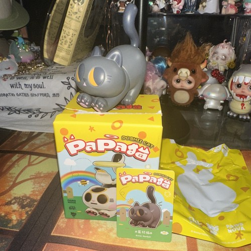 Gatto papa doshii british - papa,