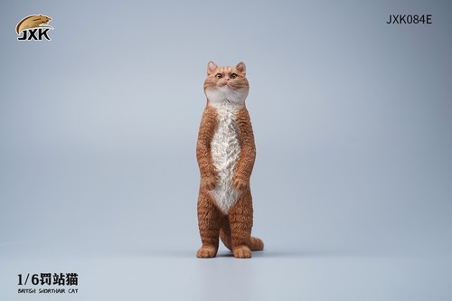 Jxk jxk084e animal standing - jxk084e,