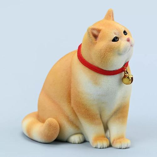Jxk studio british shorthair - british,