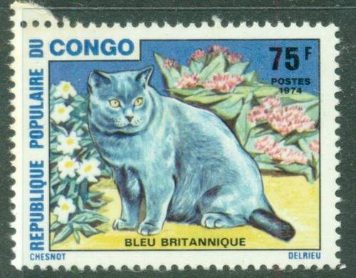 Congo 1974 cat - ,