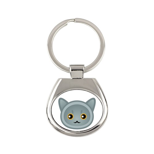 British shorthair - shorthair,