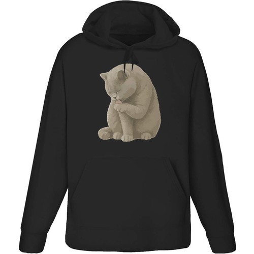 British shorthair cat licking - shorthair,