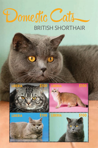 Liberia 2014 gatti british - 2014,