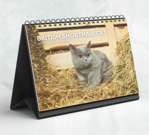 Calendario scrivania gatto - calendario,