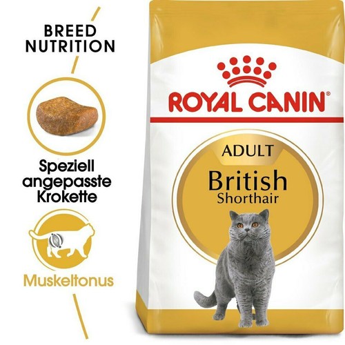 Royal canin british shorthair - canin,