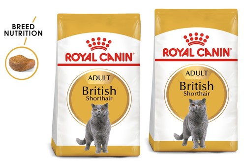 Royal canin british shorthair - canin,