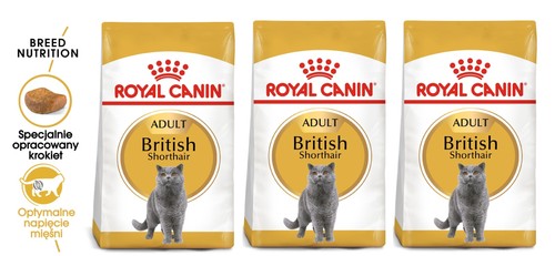 Royal canin alimento - royal, per