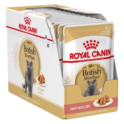 Royal canin adult - royal, british