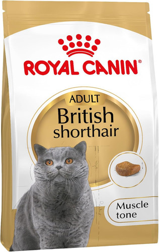 British shorthair cibo secco - british,