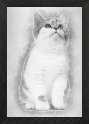 Poster arte parete con - da,