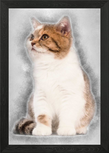 Poster arte parete con - poster,