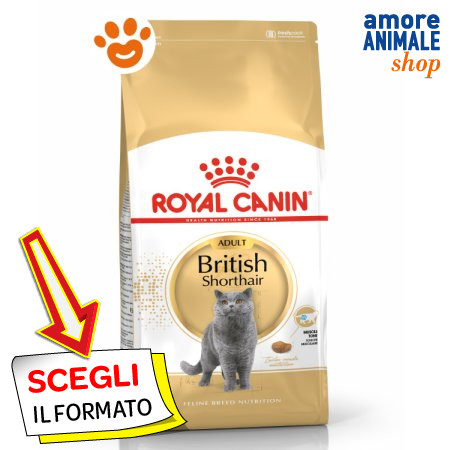 Royal canin cat adult british - cat,