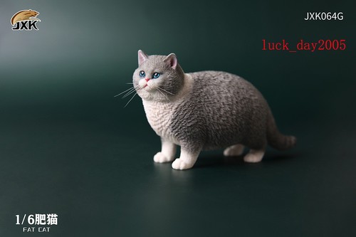 Jxk jxk064g animal pet - animal, cat