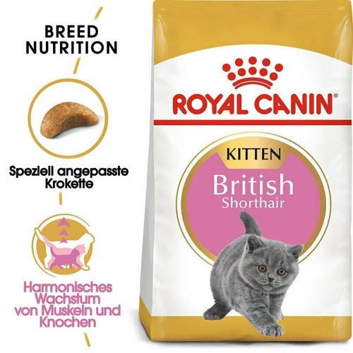 Royal canin kitten british - kitten,