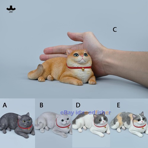 Jxk british shorthair cat - 1/3,