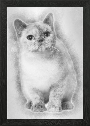 Poster arte parete