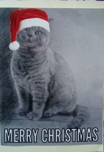 Biglietto buon natale gatto - biglietto,