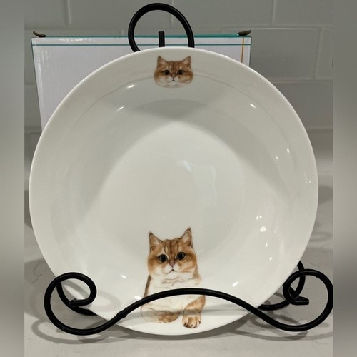 Petorama british shorthair - petorama,