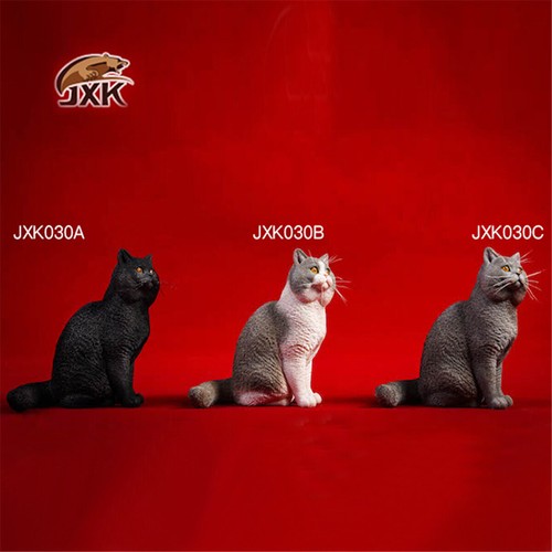 Modellino gatto pelo corto